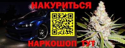 сатива Нальчик