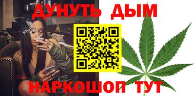 сатива Нальчик