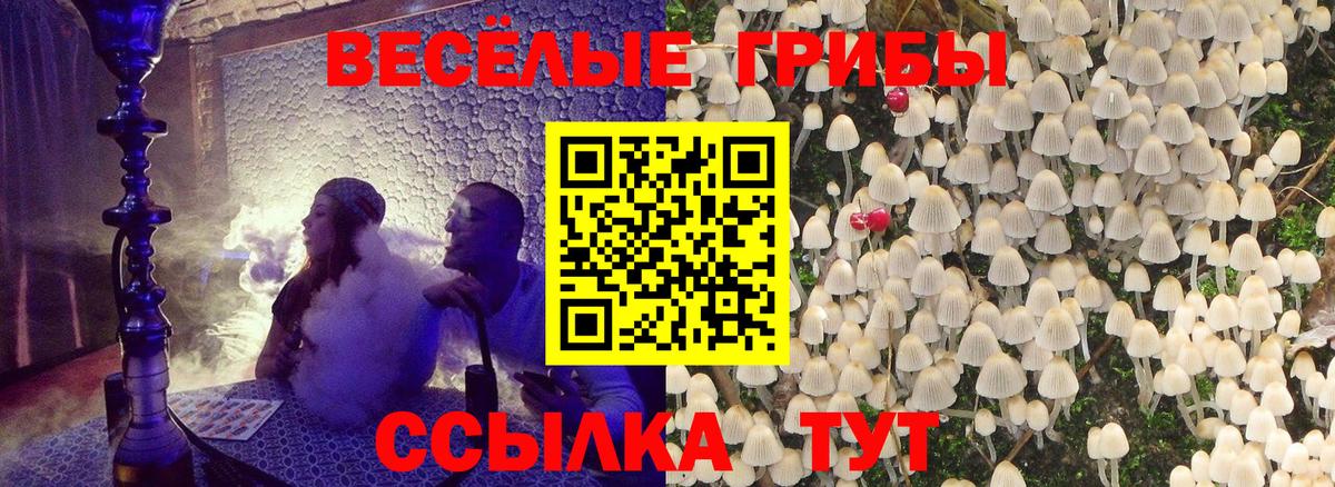 Псилоцибиновые грибы MAGIC MUSHROOMS  Вход с VPN  Симферополь 